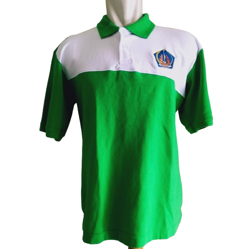 polo kombinasi warna